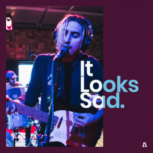 ดาวน์โหลดและฟังเพลง Drool (Audiotree Live Version) พร้อมเนื้อเพลงจาก It Looks Sad.
