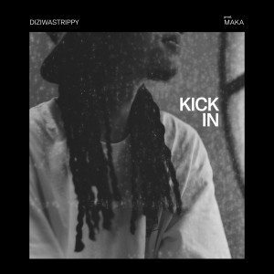 Album Kick in from DIZIWASTRIPPY