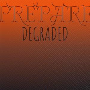Album Prepare Degraded from Various