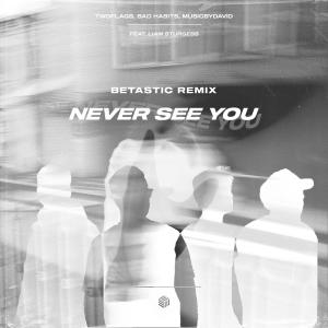 Listen to Never See You (BETASTIC Remix) song with lyrics from TwoFLags