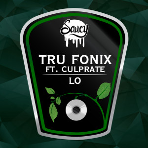 收聽Tru Fonix的Permutation (Original Mix)歌詞歌曲