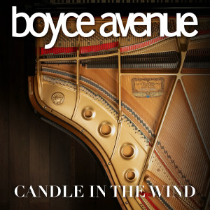 Album Candle in the Wind from Boyce Avenue