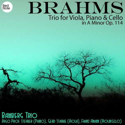 Trio for Viola, Piano & Cello in A Minor, Op.114: III. Andante grazioso