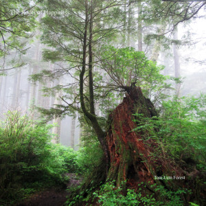 收聽Tom Lum Forest的One Tree Hill歌詞歌曲