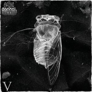 Saint Saggal的专辑V