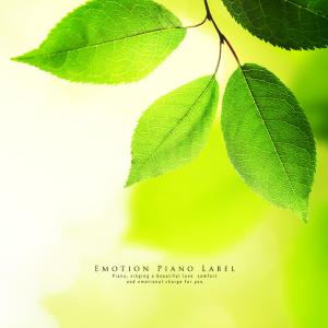 Listen to Light Walk song with lyrics from Clear Sound