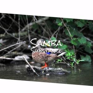 收听Jaka Propht的Whosever Dawn歌词歌曲