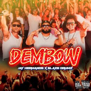 Album DEMBOW oleh Blaze Drumz