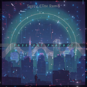 Album Passport Playboy (Tasty Edm Remix) from Bonafide Suspects