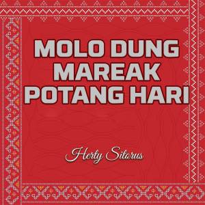 Dengarkan lagu Molo Dung Mareak Potang Hari nyanyian Herty Sitorus dengan lirik