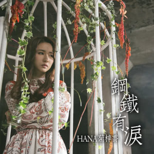 收听HANA的钢铁有泪 (电视剧《铁探》片尾曲)歌词歌曲