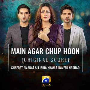 Shafqat Amanat Ali的专辑Main Agar Chup Hoon (Original Score)