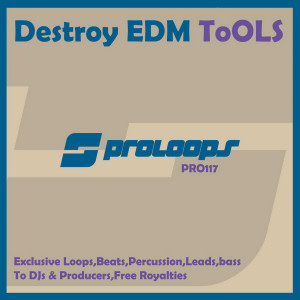 ดาวน์โหลดและฟังเพลง Destroy EDM Tools Bass 128 (Tool 7) พร้อมเนื้อเพลงจาก Supaman