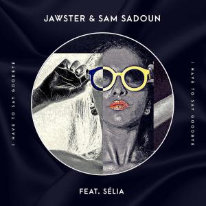 Album I Have to Say Goodbye (feat. Sélia) from Jawster