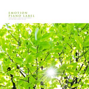 收听Page 17的Beautiful Minds歌词歌曲