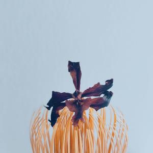 收听NamesAsFlowers的Summer Breeze歌词歌曲