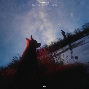 ดาวน์โหลดและฟังเพลง Tearing Me Apart Inside (Extended Mix) พร้อมเนื้อเพลงจาก TOYMATZ