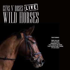 收聽Guns N' Roses的Wild Horses (Live)歌詞歌曲