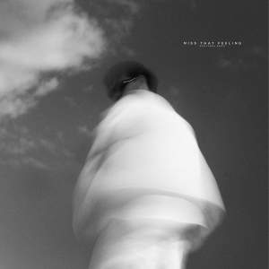 Album Miss That Feeling (WOOLFSON Remix) from narou