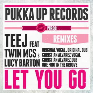 Listen to Let You Go song with lyrics from Tee J