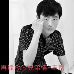 Album 再续今生兄弟情 from 王南