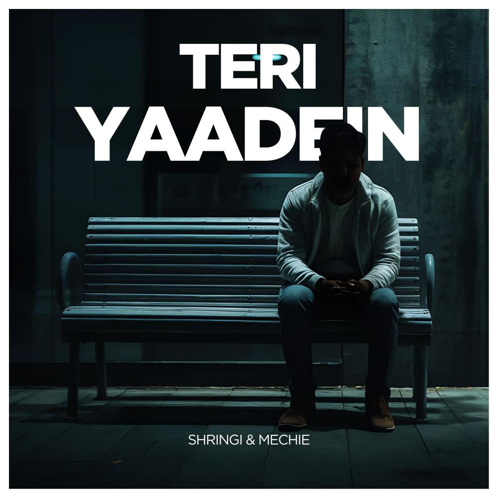 Teri Yaadein