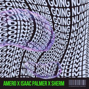 ดาวน์โหลดและฟังเพลง Going Numb (Explicit) พร้อมเนื้อเพลงจาก Amero