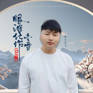 李小馬飛的專輯眼淚化作冬雪（DJ版）