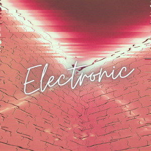 收聽Electronic的Minimal Animal (Original Mix)歌詞歌曲