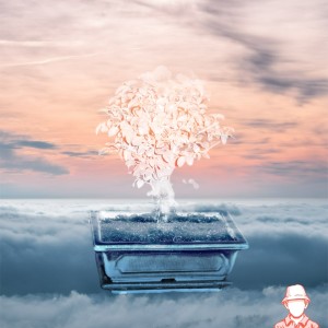 ดาวน์โหลดและฟังเพลง Bonsai พร้อมเนื้อเพลงจาก Sleeping Dove