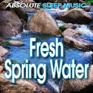 ดาวน์โหลดและฟังเพลง Fresh Mountain Spring Water to Relieve Stress and Help You Sleep พร้อมเนื้อเพลงจาก Absolute Sleep Music
