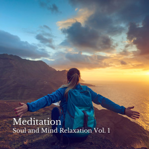 Asian Zen: Spa Music Meditation的專輯Meditation: Soul and Mind Relaxation Vol. 1