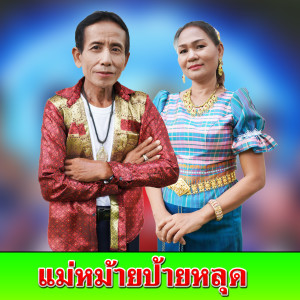 สาธิต บ้านนา的专辑แม่หม้ายป้ายหลุด