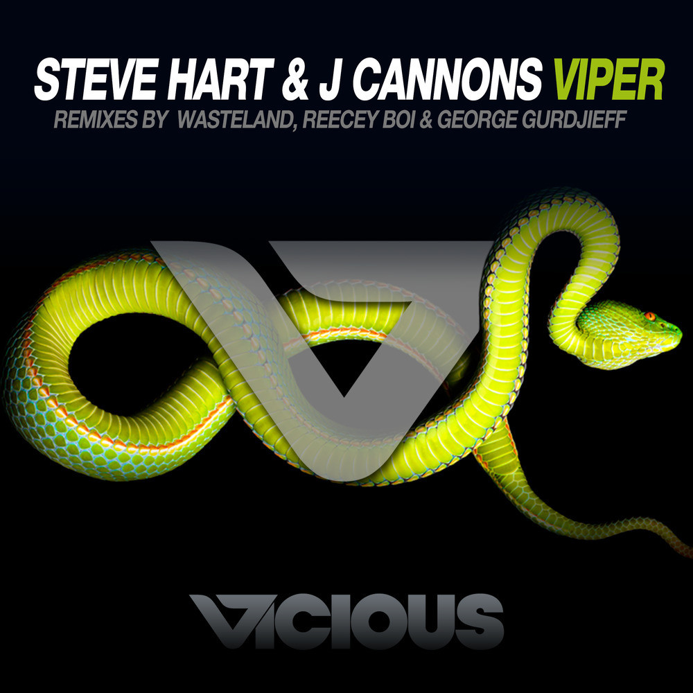 Viper (George Gurdjieff Remix)
