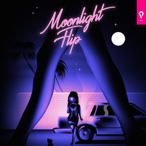 Moonlight Hip dari Various Artists