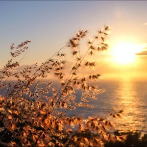 Listen to We Will Get There song with lyrics from Coffe Lofi