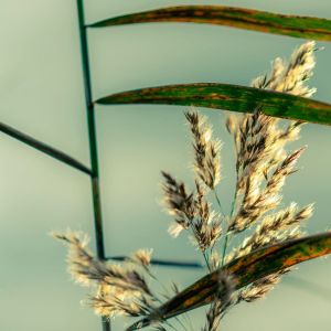 收聽Yoga的Yoga歌詞歌曲