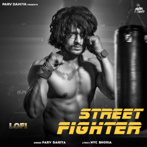 ดาวน์โหลดและฟังเพลง Street Fighter (Lofi) พร้อมเนื้อเพลงจาก Parv Dahiya