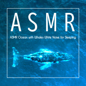 貴族音樂ASMR的專輯白噪音深層睡眠 鯨魚與海浪 催眠放鬆自然之聲