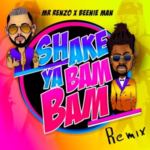 Album Shake Ya Bam Bam (Remix) from Mr. Renzo