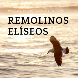 Suave al aire libre的專輯Remolinos Elíseos: Música Relajante De Relajación En El Océano