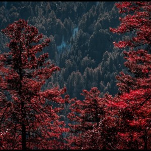 Listen to Spirit Dance song with lyrics from Spa Music Relaxation