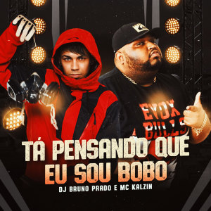 Album TA PENSANDO QUE EU SOU BOBO (Explicit) from DJ Bruno Prado