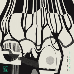 ดาวน์โหลดและฟังเพลง My Own Mystery (Chill Flip) พร้อมเนื้อเพลงจาก LANKS