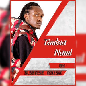 อัลบัม Tembea Nami ศิลปิน Dsense