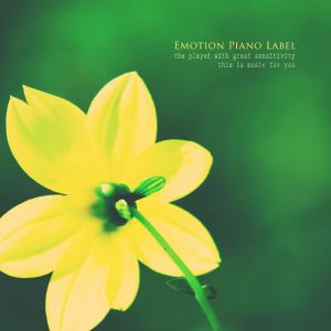 Various Artists的专辑Store music matching flower shop (New Age collection)