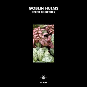 อัลบัม Spent Together ศิลปิน Goblin Hulms