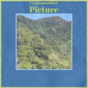 Listen to Crawling Requisition song with lyrics from Myda