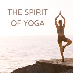 Album The Spirit of Yoga from Bali Vibes