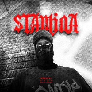 AK507的專輯Stamina